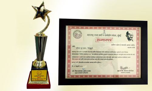 Maharashtra State Khadi and Village Industries Board Award